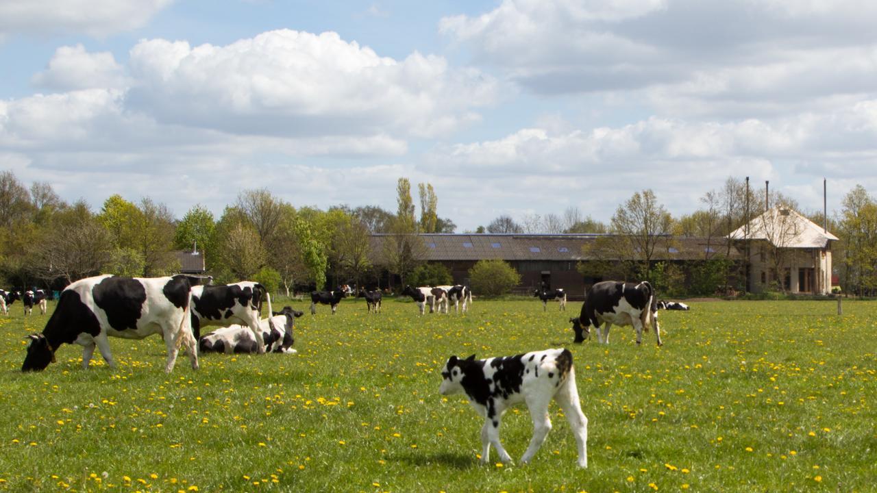 Biotel Achterhoek Lievelde Buitenkant foto