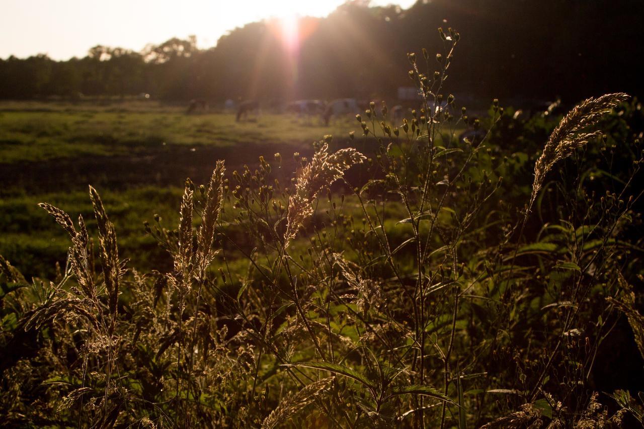 Biotel Achterhoek Lievelde Buitenkant foto